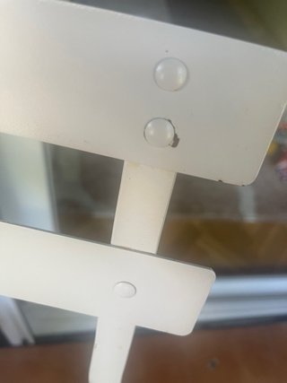 Conjunto Mesa y Sillas Terraza
