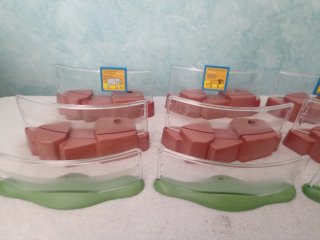 Playmobil Recintos Zoo (9 unidades) YY