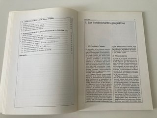 LIBRITO SUMER AKKAD HISTORIA MUNDO ANTIGUO ORIENTE