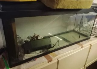 Acuario 200 litros