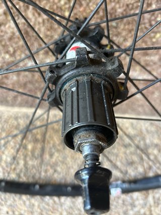 Ruota posteriore 29 MTB