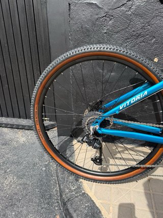 Bicicleta Vitoria Alluminio 29