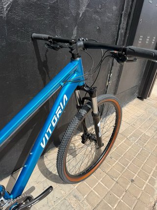 Bicicleta Vitoria Alluminio 29