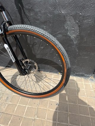Bicicleta Vitoria Alluminio 29