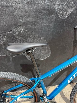 Bicicleta Vitoria Alluminio 29