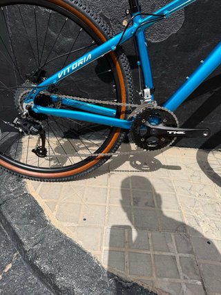 Bicicleta Vitoria Alluminio 29