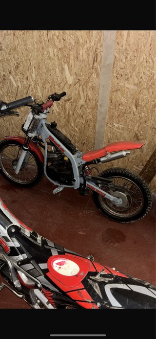 Beta Trial Infantil