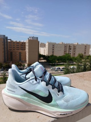 Nike Pegasus 41 Azul y Verde