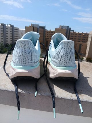 Nike Pegasus 41 Azul y Verde