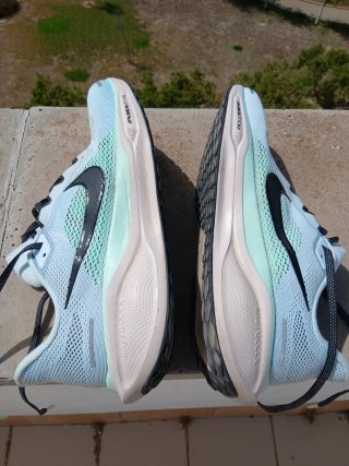 Nike Pegasus 41 Azul y Verde