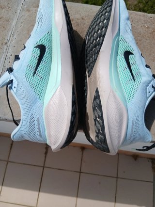 Nike Pegasus 41 Azul y Verde