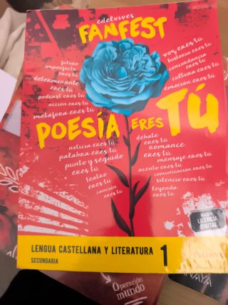 Lengua castellana y literatura 1 Secundaria