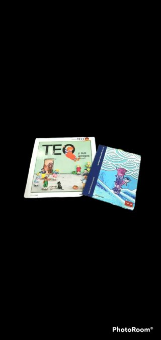 Lote de libtros +puzzle infantil Numeros y Letras