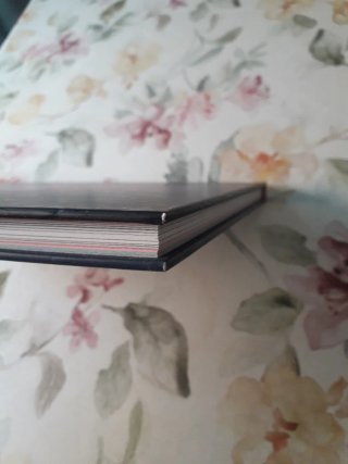 Libro ilustrado La Sirenita