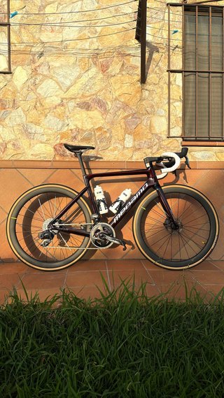 Megamo Pulse Elite con Potenciometro