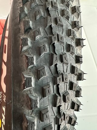 Cubiertas Pirelli Scorpion Pro Wall Trail M y R
