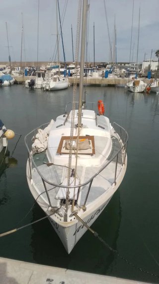 Velero blanco