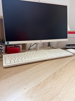 HP All in One N300 Ordenador Blanco