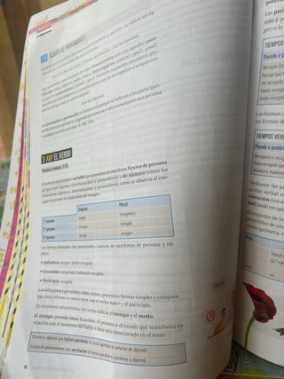 Lengua castellana y literatura 1 Secundaria