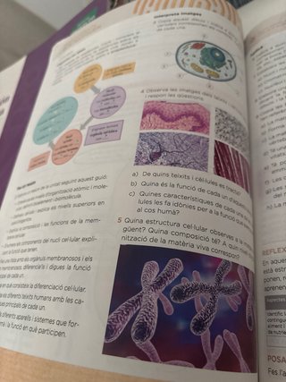 Biologia i geologia, 3 ESO, Illes Balears, Oper...
