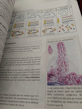 Biologia i geologia, 3 ESO, Illes Balears, Oper...