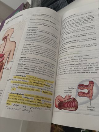 Biologia i geologia, 3 ESO, Illes Balears, Oper...