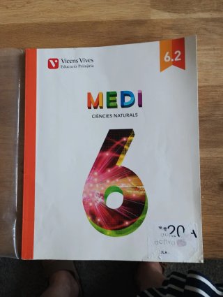 Medi, 6 Educació Primària Aula Activa