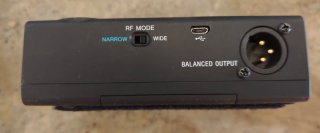 Sony DWZ-B30GB Inalámbrico Guitarra