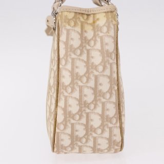 Christian Dior Trotter Canvas Romantic Hand Bag
