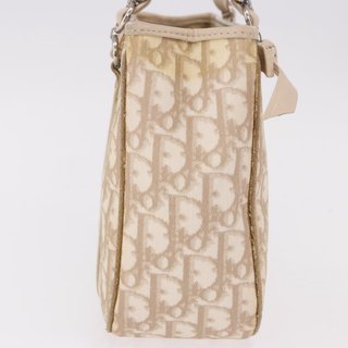 Christian Dior Trotter Canvas Romantic Hand Bag