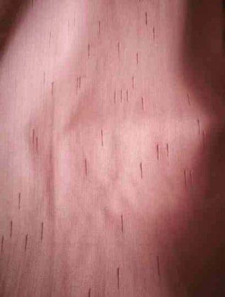 4 Cortinas Rosa Pastel