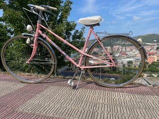 Bici Torrot Clásica Rosa