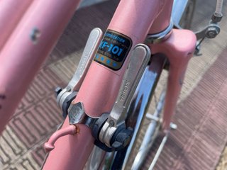 Bici Torrot Clásica Rosa