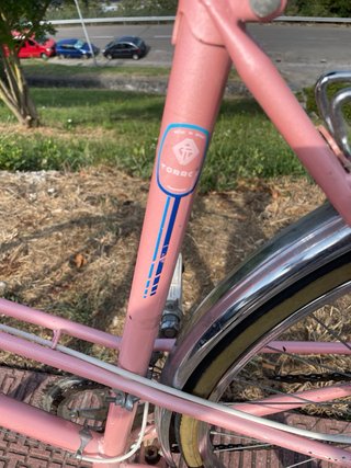 Bici Torrot Clásica Rosa