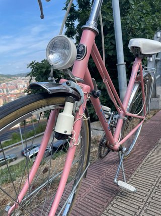 Bici Torrot Clásica Rosa