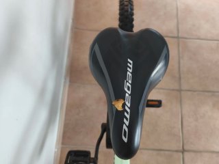 Bicicleta Infantil Megamo 20