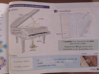 Libro Música e Danza 2 Primaria