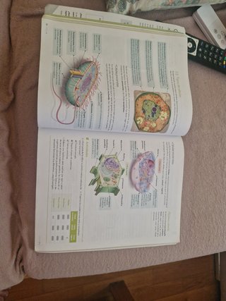 Biología y Geología : 1o ESO