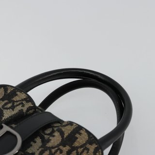 Christian Dior Trotter Canvas Double Saddle Hand