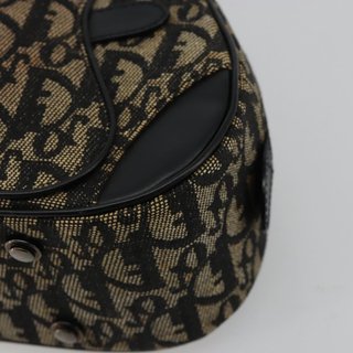Christian Dior Trotter Canvas Double Saddle Hand