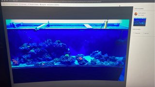 Urna 750L Marino con armario y sump 200L