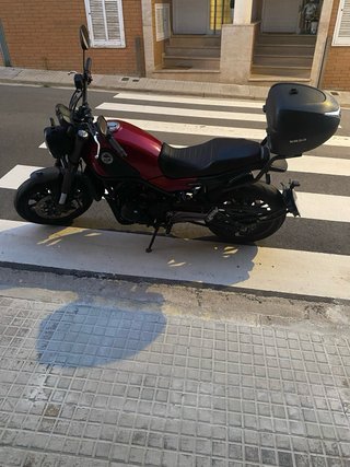 Benelli Leoncino 500