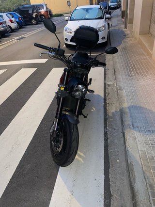 Benelli Leoncino 500