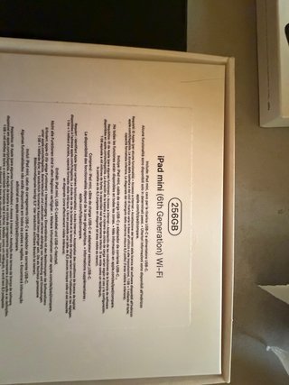 Ipad mini 256GB 6 gen