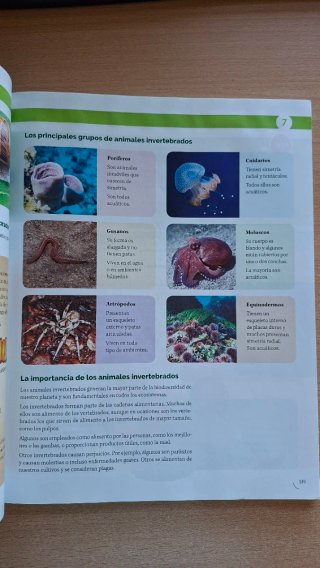 BIOLOGIA Y GEOLOGIA C-Leon 1ESO CONSTRUYENDO MU...