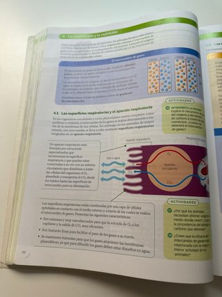 Biología, Geología y Ciencias Ambientales 1 bach