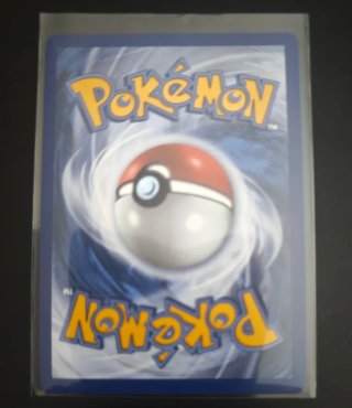 Set 3 Cartas Pokémon Kanto Inglés First Partner