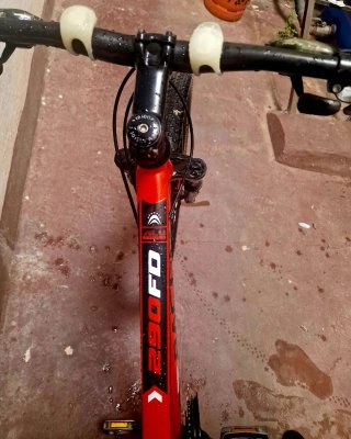 Bicicleta de Montaña Roja