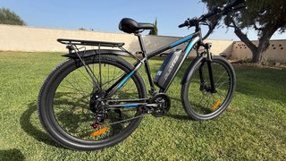 DUOTTS C29L Bicicleta Eléctrica Montaña 29