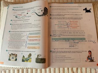 Lengua Castellana y Literatura Trimestres 4º EP